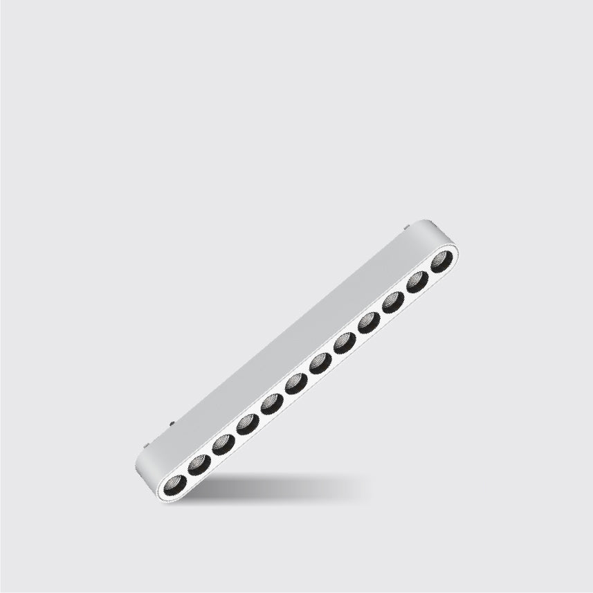 SKYLINE RIEL MAGNETICO-RMS-S-CF222-B-12W