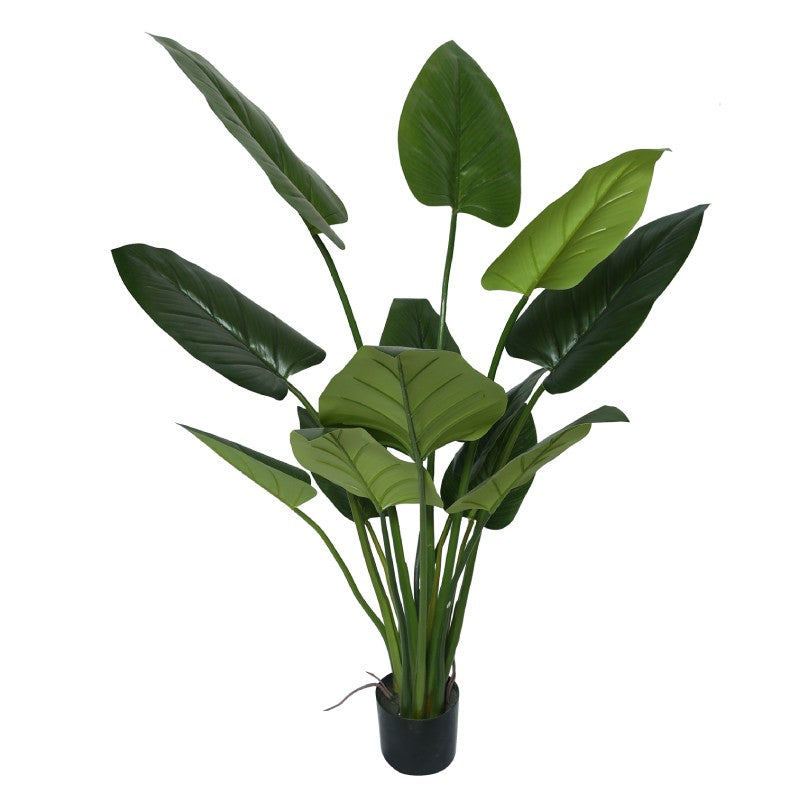 IMPERIAL GREEN 110 CM