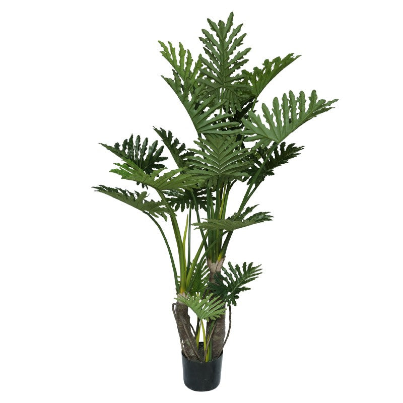 PHILODENDRON 180CM