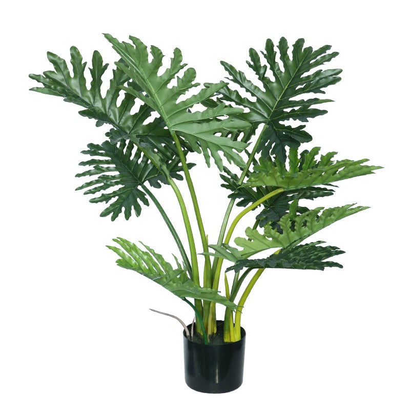 PHILODENDRON 85cm